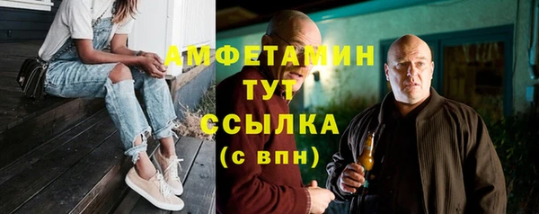 мдпв Инсар