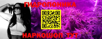 твердый Пугачёв