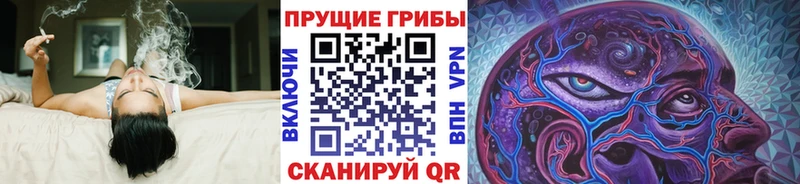 где купить наркоту  Уварово  Псилоцибиновые грибы GOLDEN TEACHER 