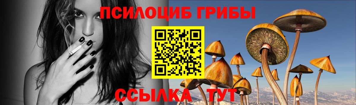 Уварово  Псилоцибиновые грибы ЛСД  Вход с VPN 